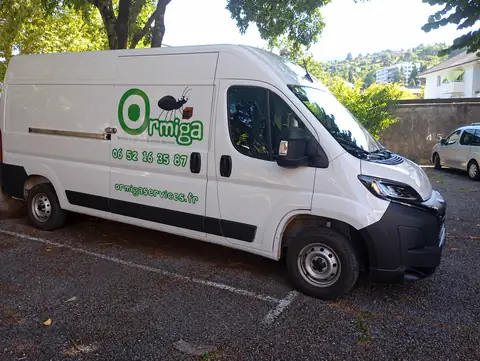 Fourgon Ormiga vu de côté pour des services de transport professionnel